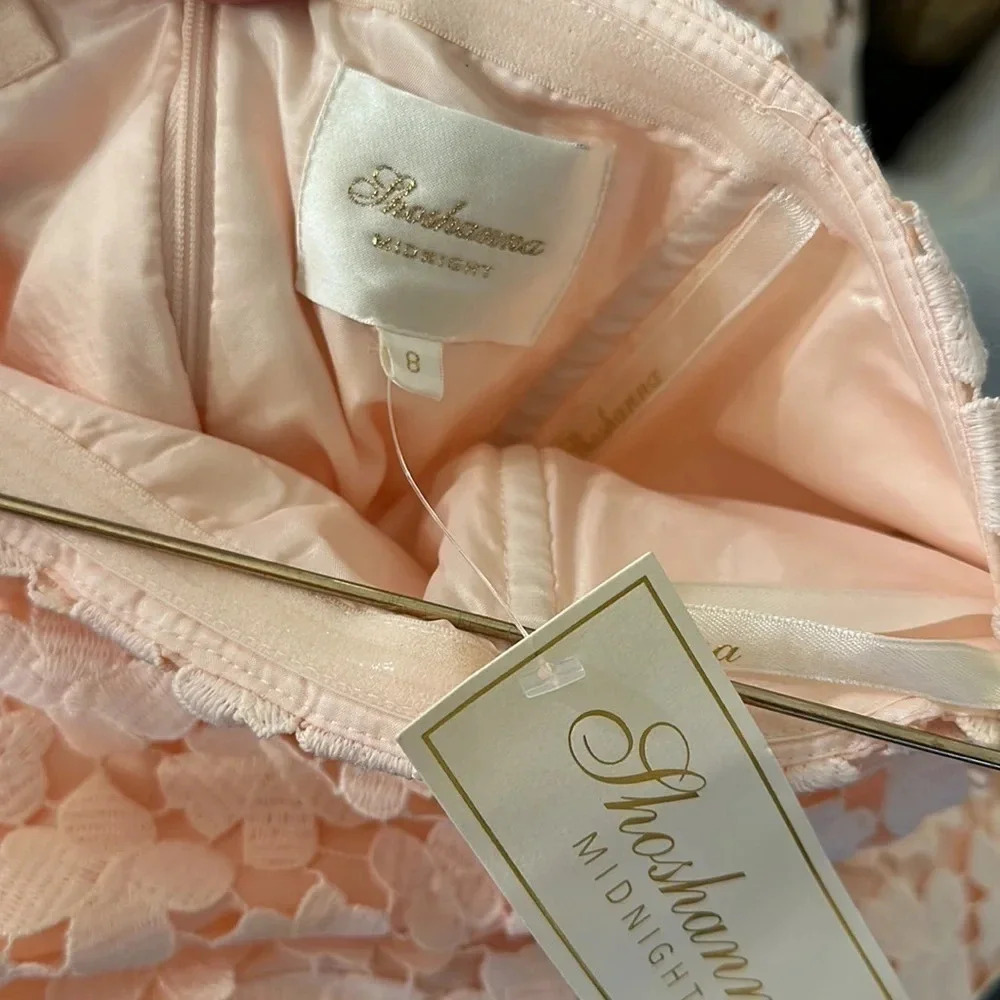 SHOSHANNA BLUSH PINK LACE FRANKLIN MIDI DRESS - Picture 8 of 12